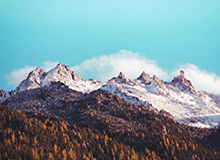 开云官网-钎城佩恩互相消耗，今屿暃赶来收割，钎城交出一血